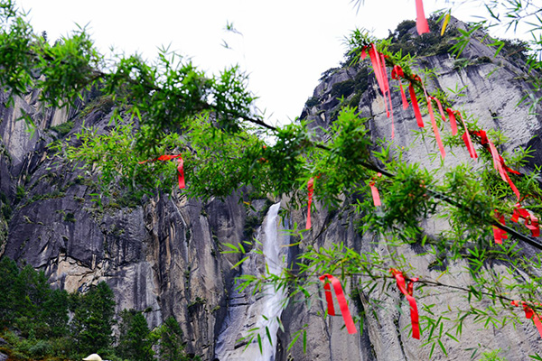 情缘藏地，原野探秘，拉萨，巴松措，新措徒步，鲁朗林海田园风光，雅鲁藏布大峡谷，纳木措环湖，圣象天门，三生石，月牙湾8晚9日游